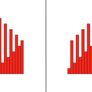 Les motifs à reproduire les barres rouges