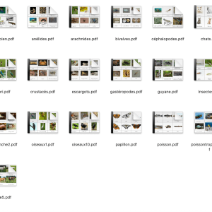 Cartes de nomenclature "Animaux"