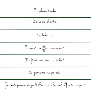 Cartes modèles d’écriture pour transcription Montessori